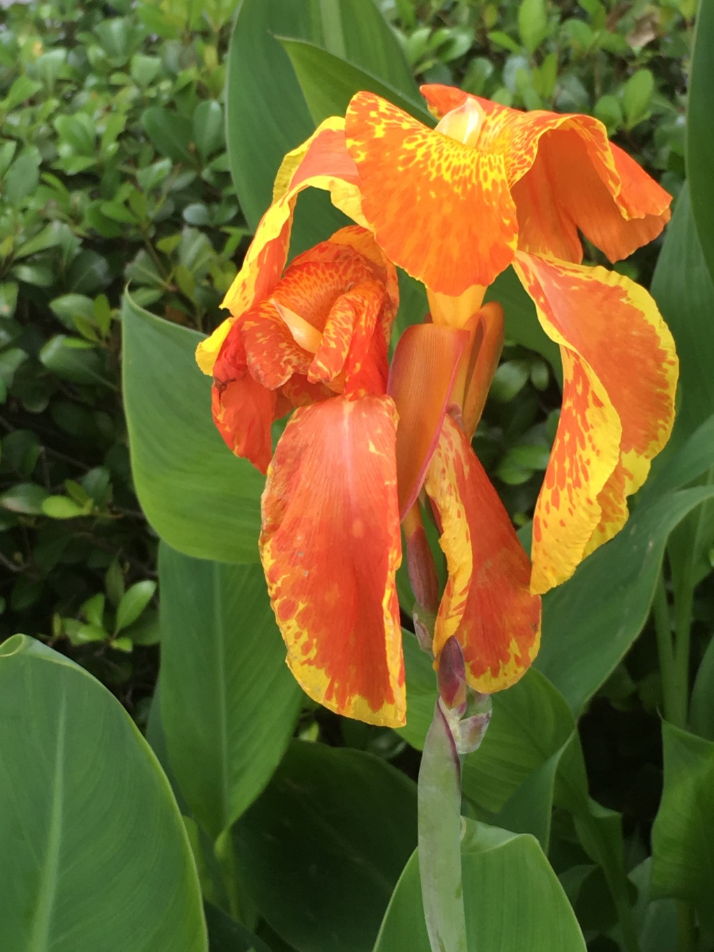 Frequently Asked Questions